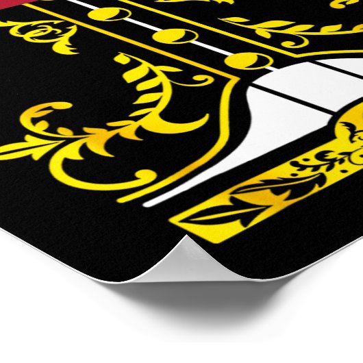 Mexican Mariachi T-Shirt Charro Cinco De Mayo Hall Poster (Ecke)