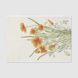 Mexican Poppy von Mary Vaux Walcott Seidenpapier