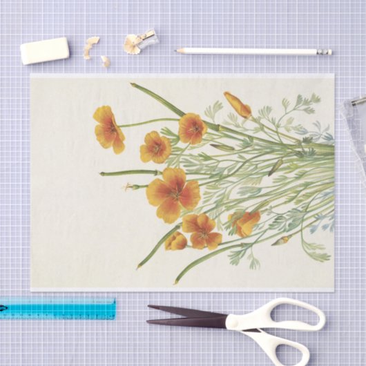 Mexican Poppy von Mary Vaux Walcott Seidenpapier (Handwerk)