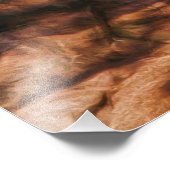 MEXICAN RED WOLF DESERT TREK FOTODRUCK (Ecke)