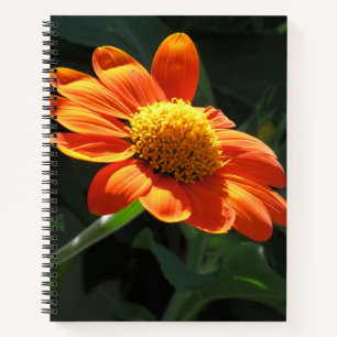 Mexican Sunflower Spiral Notebook - 8.5 x 11, 8.5 Notizblock