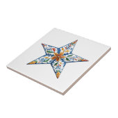 Mexican Talavera Hacienda Style Star Tile Fliese (Seite)