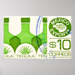 Mexican Tequila Cactus Travel Poster