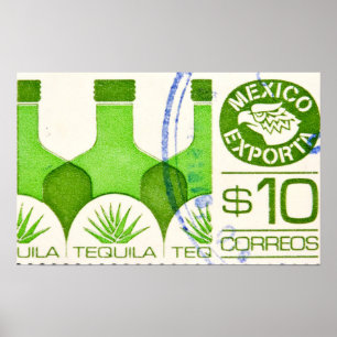 Mexican Tequila Cactus Travel Poster