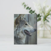 Mexican Wolf Postcard Postkarte (Stehend Vorderseite)