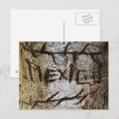 "Mexico" Carved Tree Graffiti Postkarte (Vorne/Hinten)