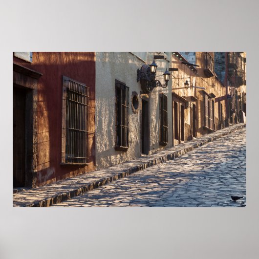 Mexico Cobblestone Street Poster (Vorne)