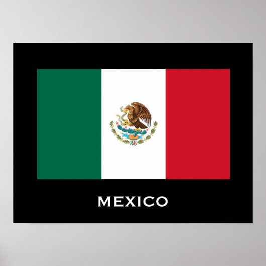 Mexico Flag Poster (Vorne)