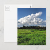 #mexico #losaltos postkarte (Vorne/Hinten)