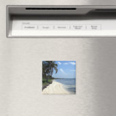 Mexico Magnet (In Situ (Geschirrspüler))