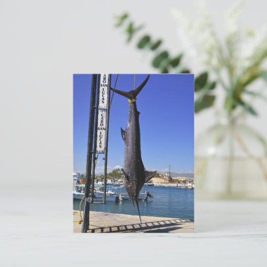 Mexico Marlin Postkarte (Stehend Vorderseite)