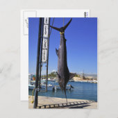 Mexico Marlin Postkarte (Vorne/Hinten)