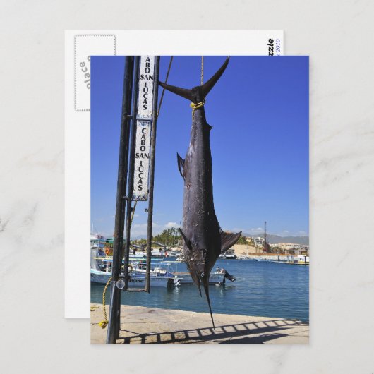 Mexico Marlin Postkarte (Vorne/Hinten)