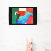 Mexico McCaw Banner (InSitu)