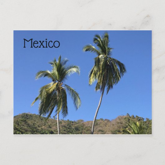 Mexico Post Card Postkarte (Vorderseite)