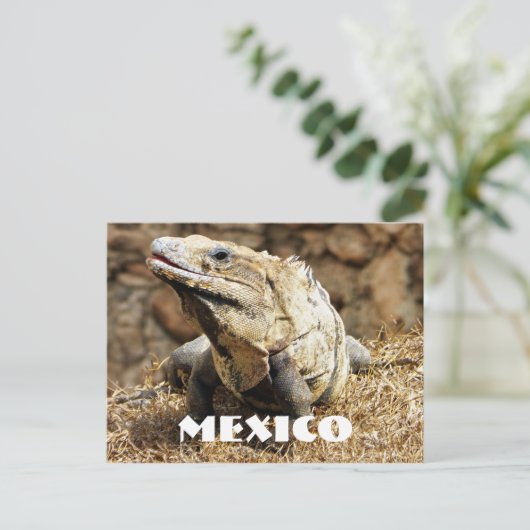 Mexico Reptile Wild Iguana Postkarte (Stehend Vorderseite)