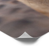 Mexico, San Miguel De Allende Poster (Ecke)