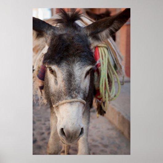 Mexico, San Miguel De Allende Poster (Vorne)