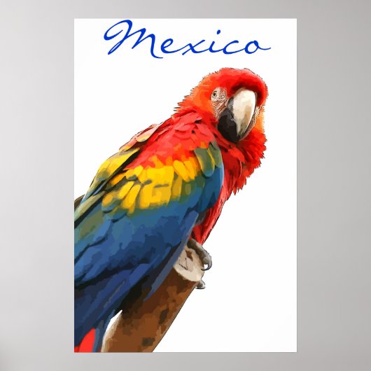 Mexico Scarlet Macaw Poster (Vorne)