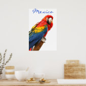 Mexico Scarlet Macaw Poster (Küche)