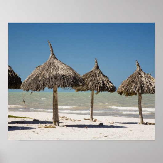 Mexico, Yucatan Peninsula, Progreso. Thatch Poster (Vorne)