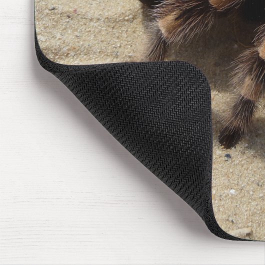 Mexikaner Flameknee Tarantula-Spinne Mousepad (Ecke)