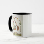 Mexikanische Arme (Farbelitho) Tasse (Vorderseite Links)
