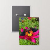 Mexikanische Aster-Blume mit einem Doris Longwing Button (Vorderseite/Rückseite)