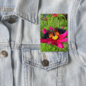 Mexikanische Aster-Blume mit einem Doris Longwing Button (Insitu)