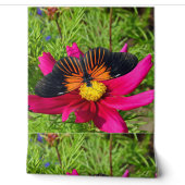 Mexikanische Aster-Blume mit einem Doris Longwing Tapete (Abrollen)