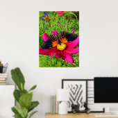 Mexikanische Asterblume mit einem Doris Longwing  Poster (Heimbüro)