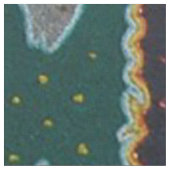 Mexikanische aztekische Mayagöttin-ethnische Stoff (Nahaufnahme)