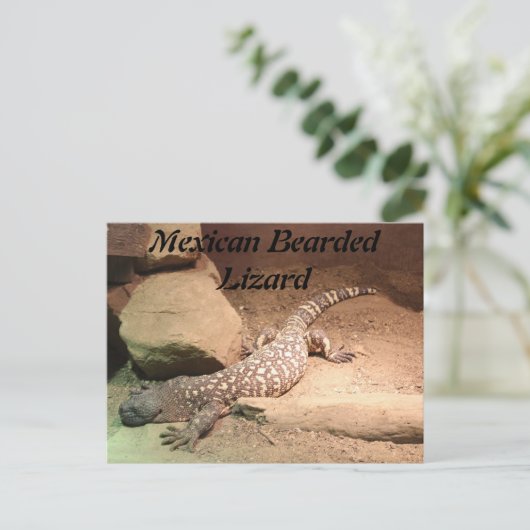 Mexikanische Bartechse Postkarte (Stehend Vorderseite)