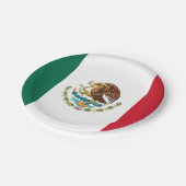 Mexikanische Flagge - Flagge Mexikos Pappteller (Schrägansicht)