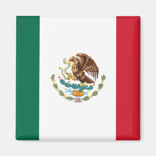 Mexikanische Flagge Magnet 2