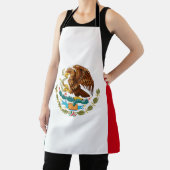 mexikanische Flagge Schürze (InSitu)