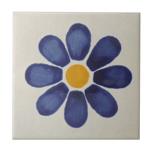 mexikanische Fliesen Handgemälde Backsplash 6 (Vorderseite)