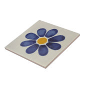 mexikanische Fliesen Handgemälde Backsplash 6 (Seite)