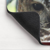 Mexikanische gepunktete Eule Mousepad (Ecke)