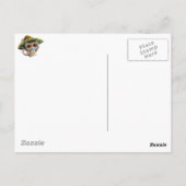 Mexikanische Katze mit Sombrero Postkarte (Rückseite)