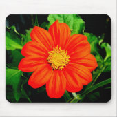 Mexikanische Sonnenblume Mousepad (Vorne)