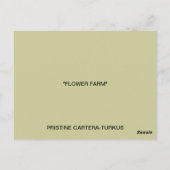 MEXIKANISCHE STADT POSTCARD POSTKARTE (Rückseite)