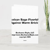 Mexikanische Waschmittel gegen warme Ziegelsteine Karte (Rückseite)