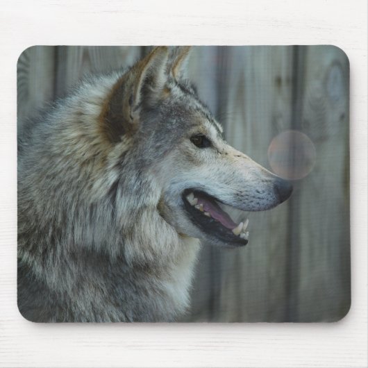 Mexikanische Wolf-Mausunterlage Mousepad (Vorne)