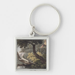 Mexikanischer Eidechsen-Fänger, graviert von Schlüsselanhänger