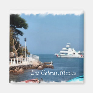 mexikanischer Entweichenmagnet Magnet