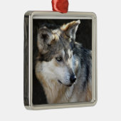 Mexikanischer grauer Wolf Silbernes Ornament (Rechts)