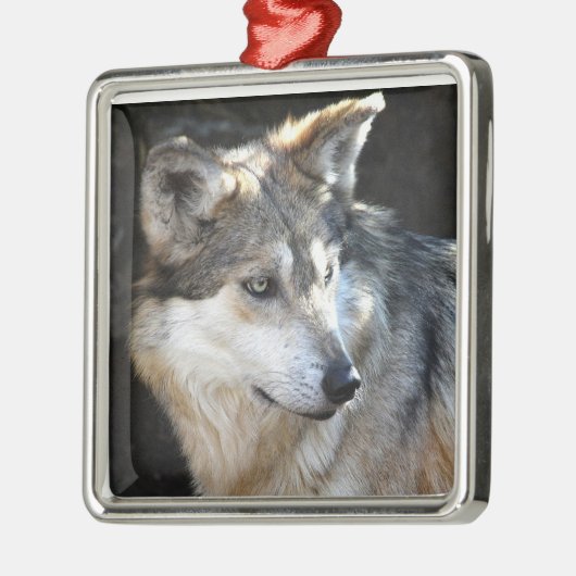Mexikanischer grauer Wolf Silbernes Ornament (Links)