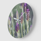 Mexikanischer Lavendel Große Wanduhr (Winkel)