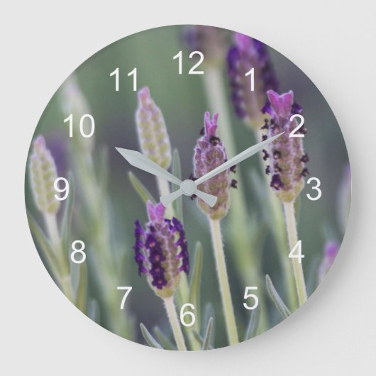 Mexikanischer Lavendel Große Wanduhr (Vorderseite)